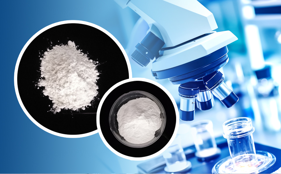 首页|尊龙集团中国官方网站